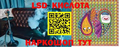 гашик Краснознаменск