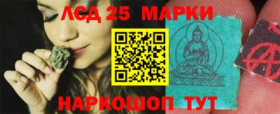 гашик Краснознаменск