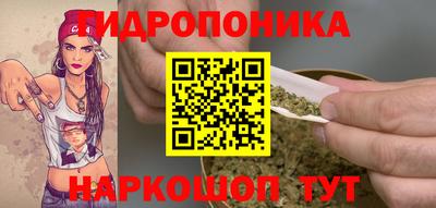 гашик Краснознаменск