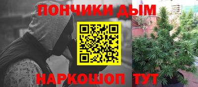 гашик Краснознаменск