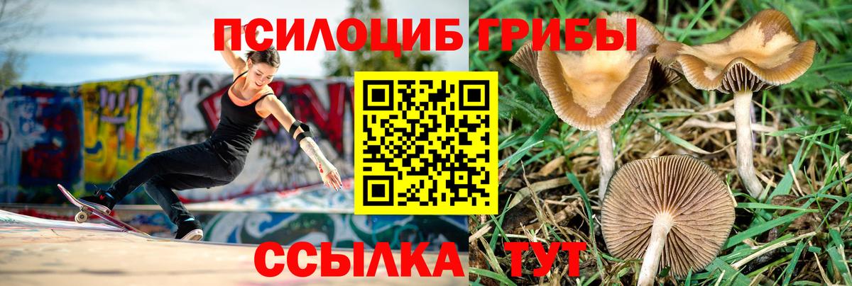 Темрюк  Псилоцибиновые грибы GOLDEN TEACHER  купить   Вход с VPN 