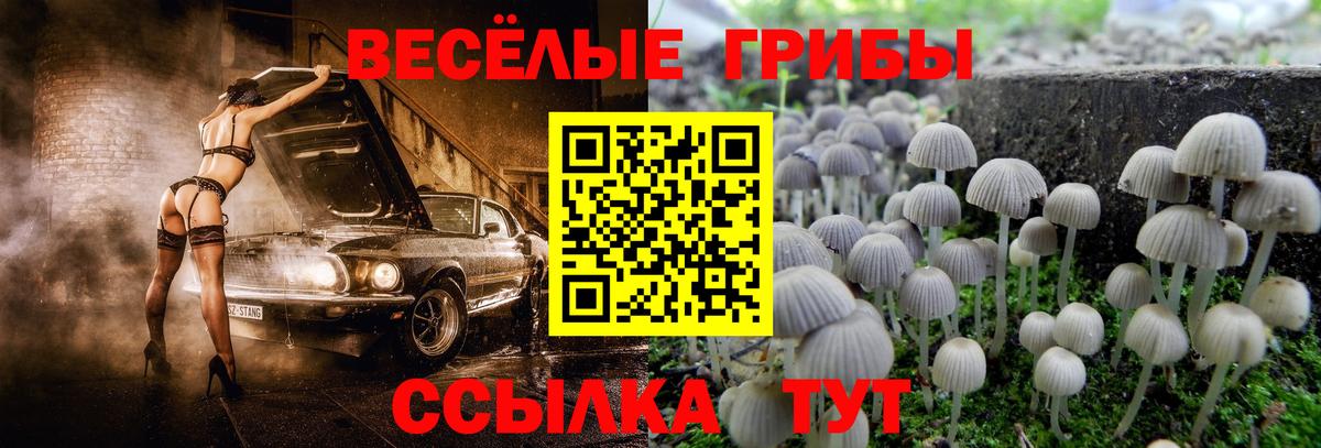 Псилоцибиновые грибы ЛСД Темрюк